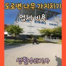 비룡앞 도로변 | 도로변 나무 가지치기 업체 비용