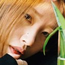 미경헤어 이미지