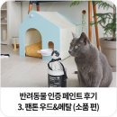 반려동물 인증 페인트 펫테리어 셀프페인팅 후기 3. 팬톤 우드앤메탈 (소품 편)