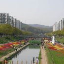 안산천1 이미지