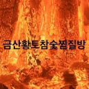 금산숯가마찜질방 이미지