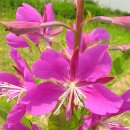 한강시민공원(자연학습장) 이미지