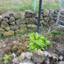 무릉다락방 이미지