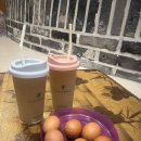 풍림24시불가마사우나 | 대전 최대 규모 24시 사우나 찜질방 유성온천불가마사우나 솔직후기