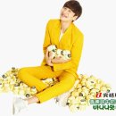 빙그레 PC 이미지