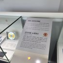 노래하는 김삿갓 이미지