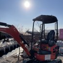 청초농장 | 용인 아이랑 갈만한 곳 포레스트 벨 (딸기 따기, 동물 먹이주기, 모래놀이)