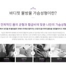 워너비성형외과의원 네이버블로그