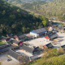 호남센터-89 | 선운산 도립공원 (유네스코 지질공원, 동백나무숲, 도솔계곡)