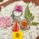 원종열쇠 이미지