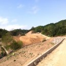 마당발부동산공인중개사사무소 이미지