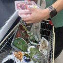장흥농협 | 서울근교 주말이색데이트 계곡+무료바베큐+찜질방 장흥 참숯가마 솔직후기 :: 준비물, 꿀팁