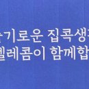 T-매니저 이미지