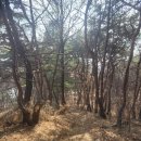 풍산1리 이미지