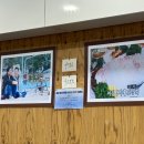 여수횟집1호점 | 강릉 횟집 추천 ‘여수 횟집’ 내돈내산