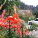 꿀공인중개사사무소 이미지