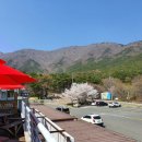 쌀바위맛집 이미지