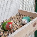 주주목장 이미지