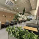 커피베이 홍성의료원점 이미지