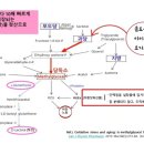 연세기린의원노원 이미지