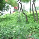 서울 한강 탄천합수부~청담대교~영동대교~성수대교~동호대교~한남대교~반포대교~동작대교~반포천합수부 종주 이미지