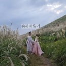 아이엠모터스 이미지