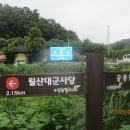 능골천 티스토리