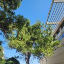 왓다민박 이미지