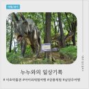 미호박물관 | 아이와 1박2일 대부도·남양주 여행 2일차｜미호박물관 공룡·동물 체험 솔직 후기