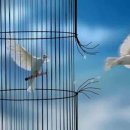 효성백년가약경로당 이미지