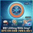 해바라기약국 | 요즘 약국·홈쇼핑 난리 난 '리포좀 글루타치온 효능'… 진짜 흡수율 10배 차이 날까?