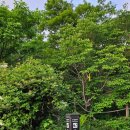 서여사곰탕 이미지