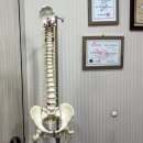 이준걸통증의원 이미지