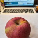 청산농원 | [체험단 후기, 광고] 정담아농원 햇사과 부사사과(개봉기, 꼼꼼 후기)