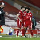 양지은농장 이미지