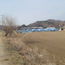 초우목장 이미지