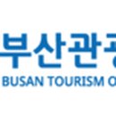 부산교통관광㈜ 투어코리아