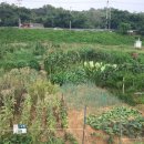 일대농장 이미지