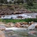 숲속계곡쉴만한물가