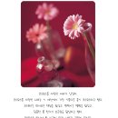 하늘달팽이 이미지