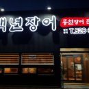 백년장어 이미지