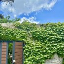 숨숨집당진 이미지