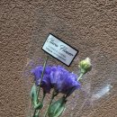 원샷실내마차 | 용인 가볼만한곳 | 한국민속촌 살귀옥, 혈안식귀 체험 후기 | 간식, 음식 메뉴 추천