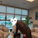 JY스크린골프 이미지