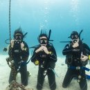 민트스쿠버 이미지