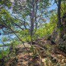 수안재 | #백악산