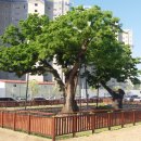 자연이야기 이미지