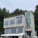 삼척 갈남항) 스노쿨링 명소 바다뷰 갈남항 끝집민박