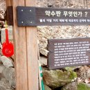 강남-293 이미지