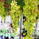 중흥2동 행정복지센터 앞 이미지